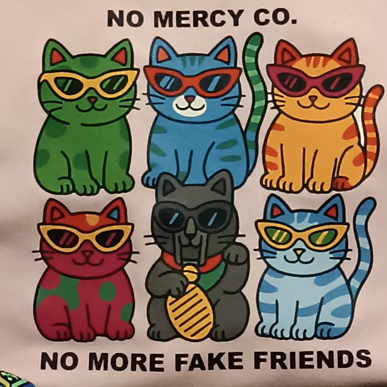 Cat Squad Oversize boxy fit Tee